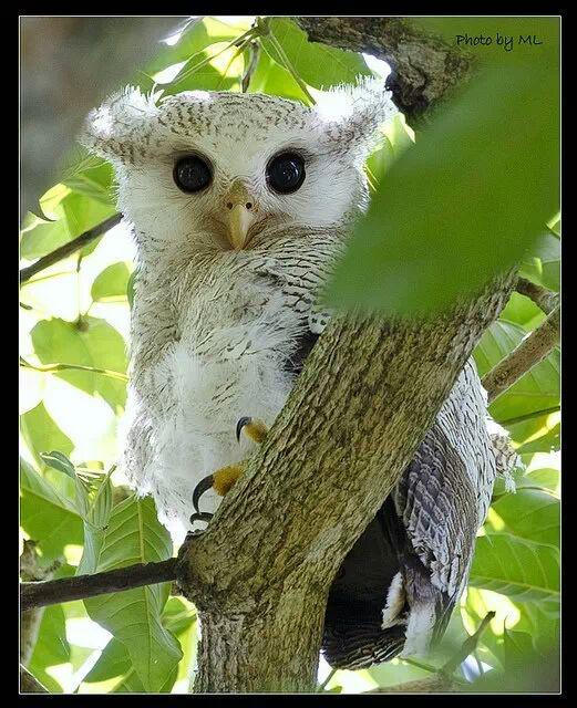 _shelev_'s tweet photo. @sergey_silkin Hi! @Bagiin104 http://t.co/aaBVF2VnOB