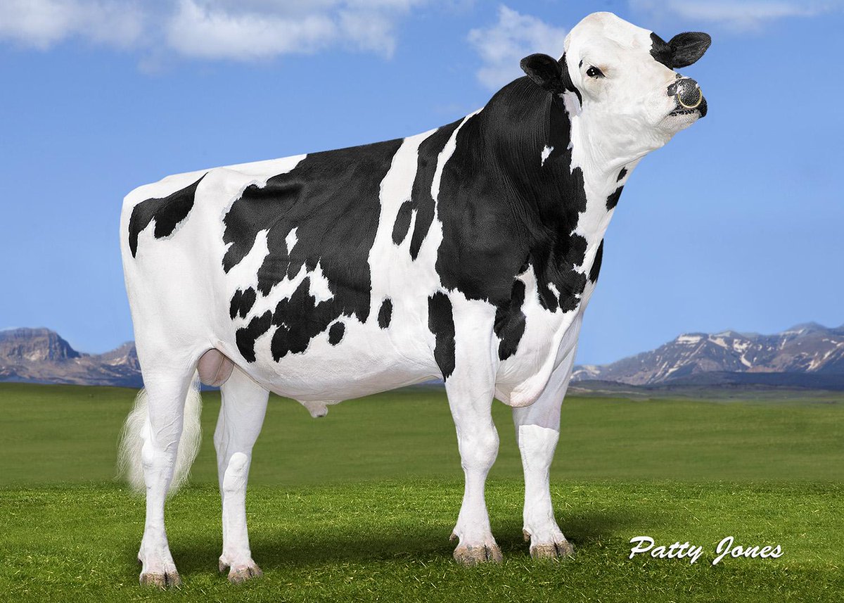 GenervationsInc's tweet photo. NEW #BREWMASTER photo: Mapel Wood #BREWMASTER (EX-95) #1LPI #1FAT http://t.co/a3ImpnnkSO