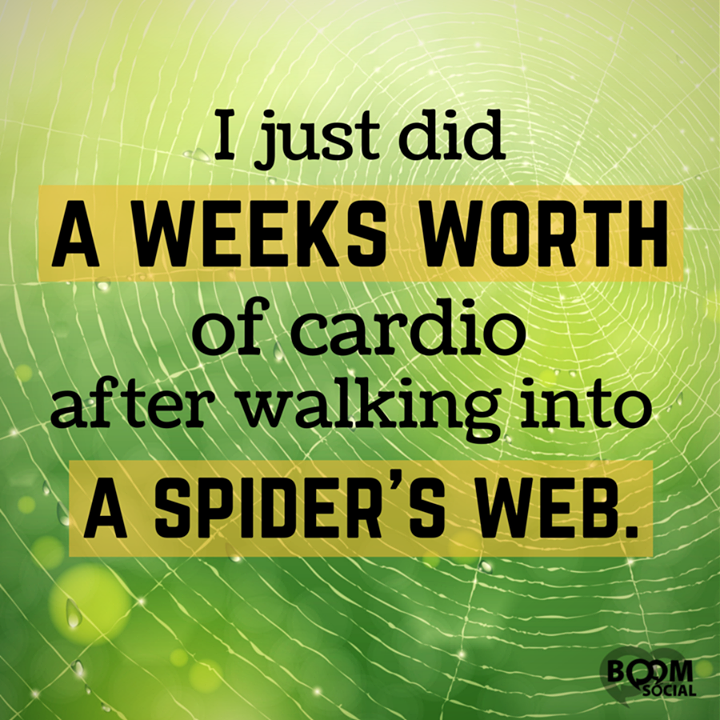 anitafiander's tweet photo. Terrified of spiders! EEK! http://t.co/ZkTVlS2zOY