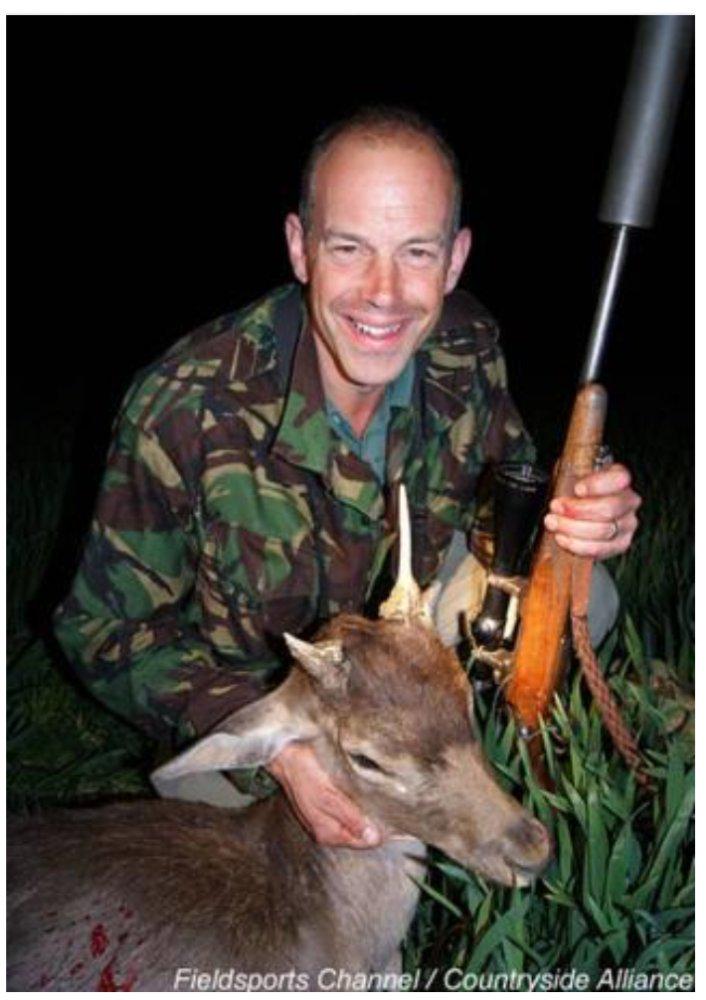 jolly_angelina tweet media