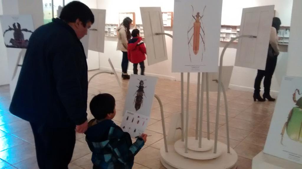 Diminutos_Expo's tweet photo. #bichodato Juegos y actividades educativas para la familia, en la exposición #Diminutos en Centro Extensión @UTalca http://t.co/Ks6Sjx7Arb