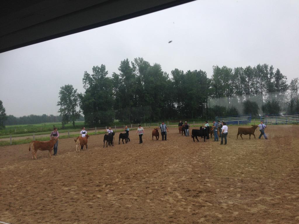 AmandaBrodhagen's tweet photo. Perk to being the announcer - you get the best view of the show. #listfair2015 #beefshow http://t.co/mWbJ1ATX4W