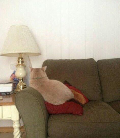 BombshellBf's tweet photo. him: what's wrong?

me: nothin http://t.co/3RKrlWOQnv
