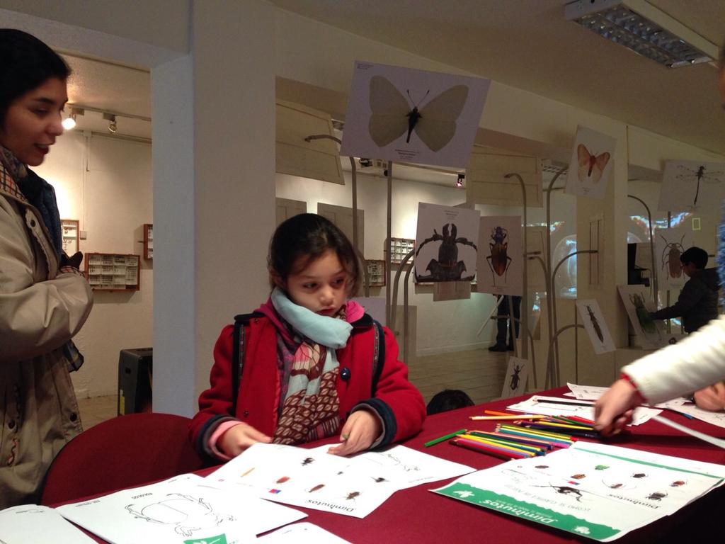 Diminutos_Expo's tweet photo. AHORA #Diminutos | Amigos de los bichos observan, pintan y juegan. Abierto hasta 20 hrs, 2 nte 685, Extensión @UTalca http://t.co/G6crXJTOD3