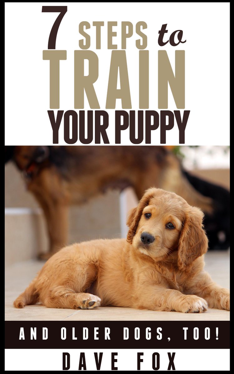 ebooksfree4you's tweet photo. Learn how to train your puppy, free July 17-21: http://t.co/zN1t5PcahN #dogtraining #puppy #freebooks #puppies http://t.co/Fp8zIlIfJQ