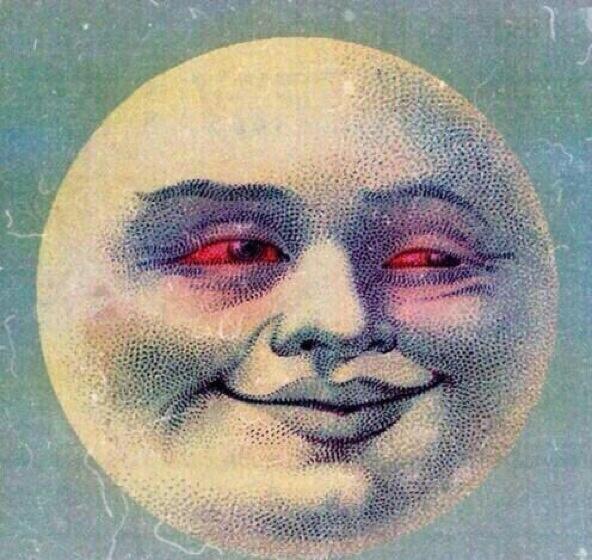 JustDankTweets tweet picture