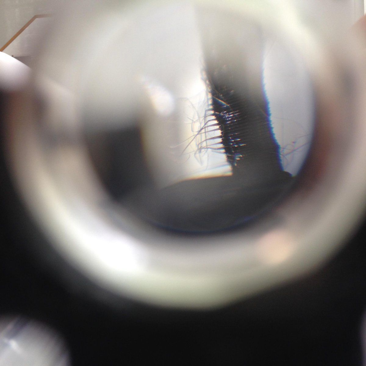 simonhkswan's tweet photo. @iGEMCambridge the view: http://t.co/y3GuUQOsVE
