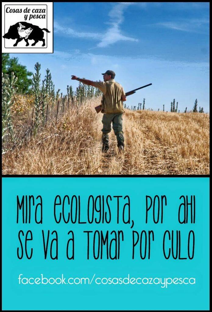 FALSEObirdlife's tweet photo. por ahí mismo, todo 'recto' #sialacaza http://t.co/cKijCKdEwH