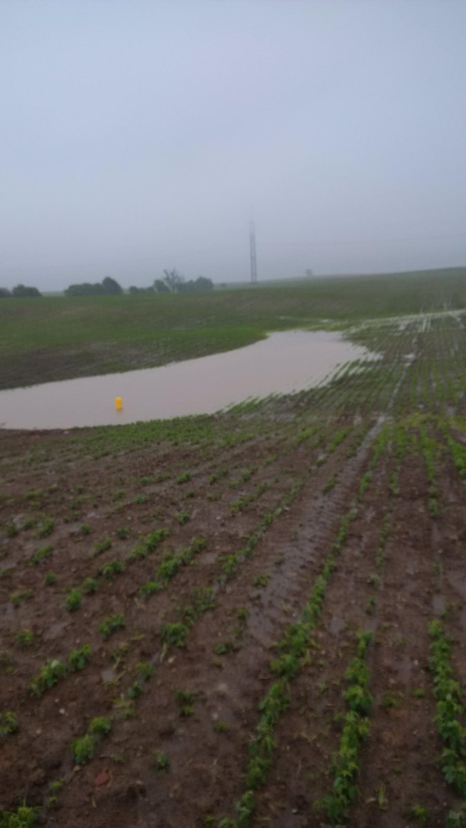 notrunningfast's tweet photo. Friend sent pics of his series of #WASCoB or berms; Proper design + experienced local contractor = holding 2" rain http://t.co/qYaQLTGkdF
