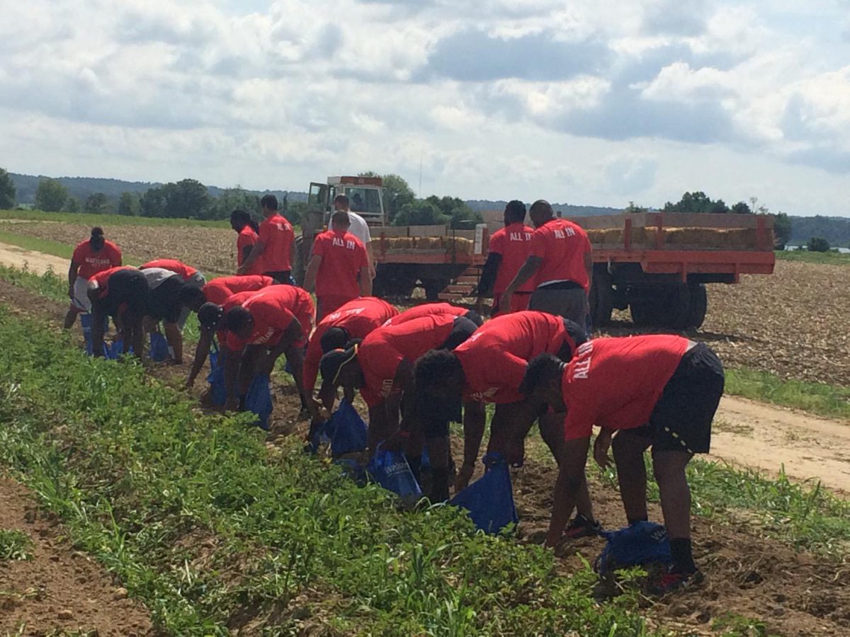 MDFoodBank's tweet photo. Spending the AM gleaning produce with @MarylandPride before distributing to MD families later today #Farming4Hunger http://t.co/bEBG6T8Qgo