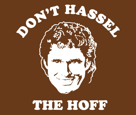 : Happy Birthday David Hasselhoff 
