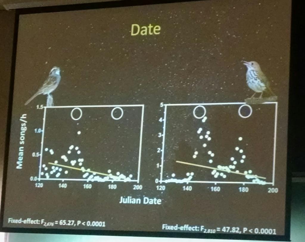 FieldOrnith's tweet photo. Jennifer Foote: Not expected - higher nocturnal song rates during new moons http://t.co/hFHXn685dZ