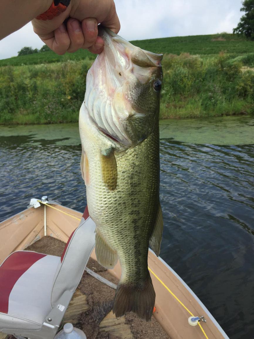 Kyle_177's tweet photo. Nothin' better than catching a 16" bass on a Friday morning!! #NoNetNeeded http://t.co/giL8CnRHWJ