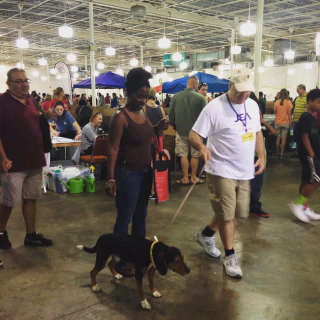 AutolinePreownd's tweet photo. We are out here with @fcnmhp at the #jaxmega Pet Adoption!! Come save a life! #fcnmhp #petco #humanesociety http://t.co/zPUJri8UVa