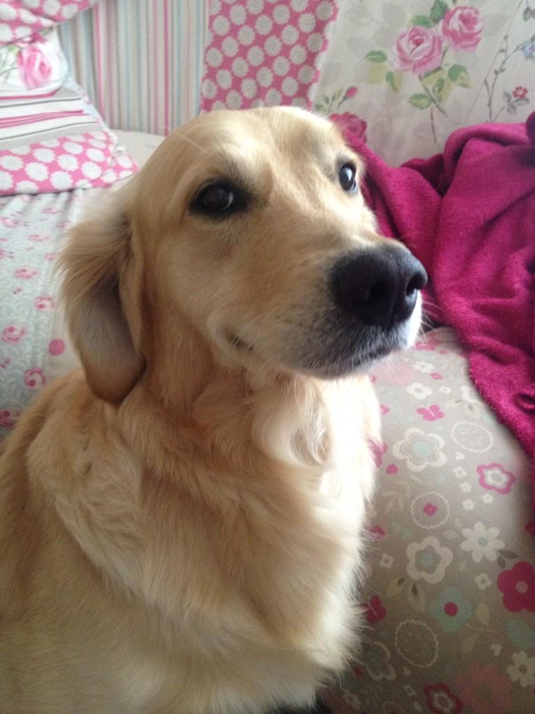 Millerparker01's tweet photo. Smile it's Friday 😊 http://t.co/qdMOS6kw6v