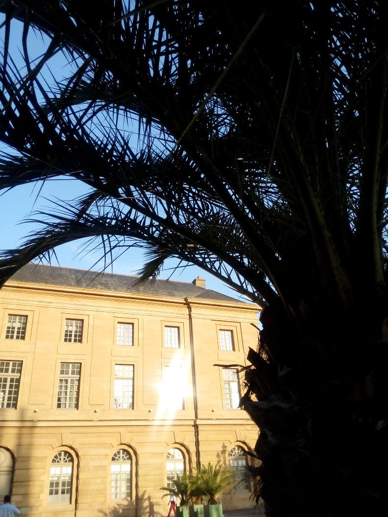 jmcorti57's tweet image. Le réchauffement climatique a encore frappé. La place d'arme est bordée de palmiers.#Metz #canicule2015