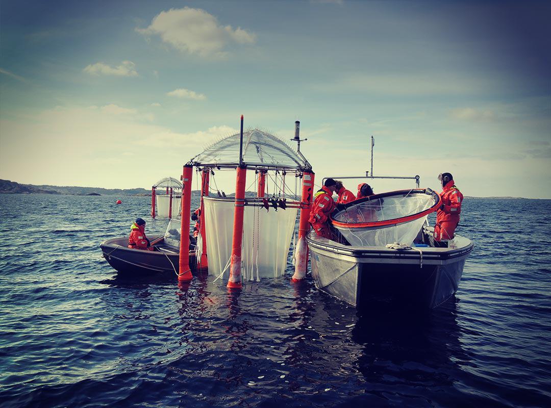 Ocean seafood failing the acid test #ff2050 bit.ly/1JOlp6B