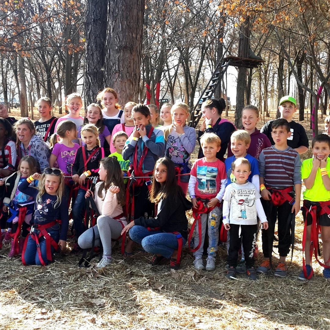 Tree Top Adventures tweet media