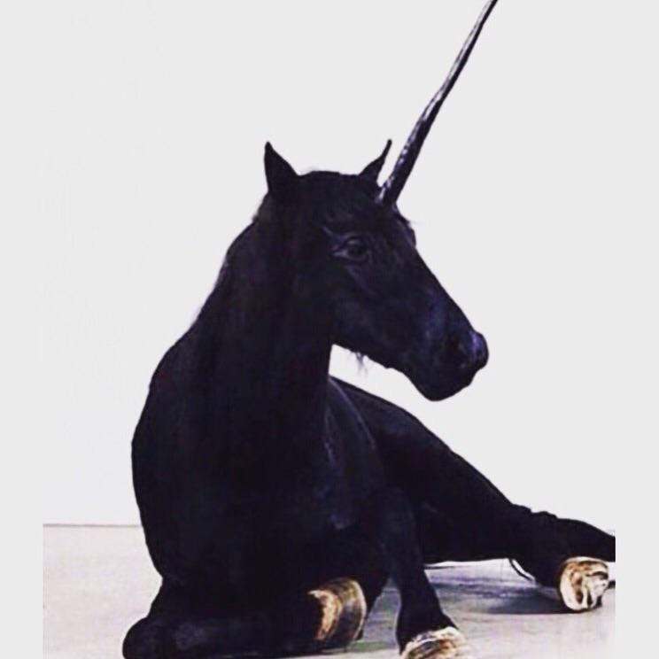 OfficialKimora's tweet image. Current state of mind.... #hyfr✨💫