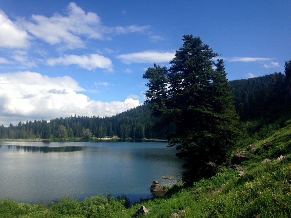 MichaelGeoBlair's tweet photo. Gorgeous views during my #hike with Leslie &amp; Jay through #TonyGrove in #LoganCanyon @VisitUtah. #mountains #biketour http://t.co/G5jFolWDB9