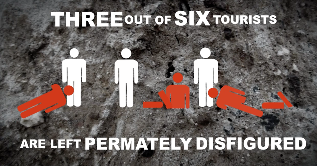 dropbeartours's tweet photo. DROP BEAR STAT #2

Avoid injury! Learn about Drop Bear Defence on our tours 

#DropBearsKill #DropBearStats #MSUASP http://t.co/F4rfJgzODB