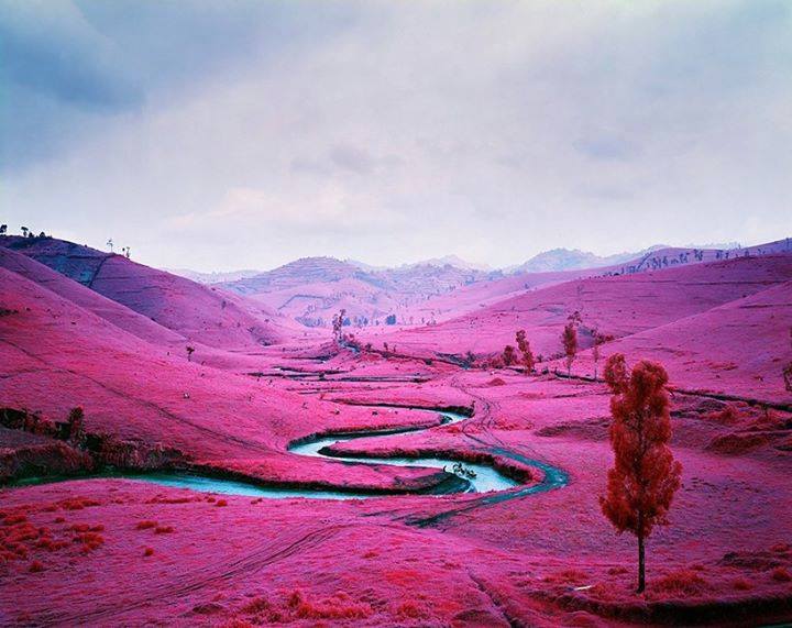 sundayfundayz's tweet photo. Is this even real?! What do you think? http://t.co/PiQTISLa2t