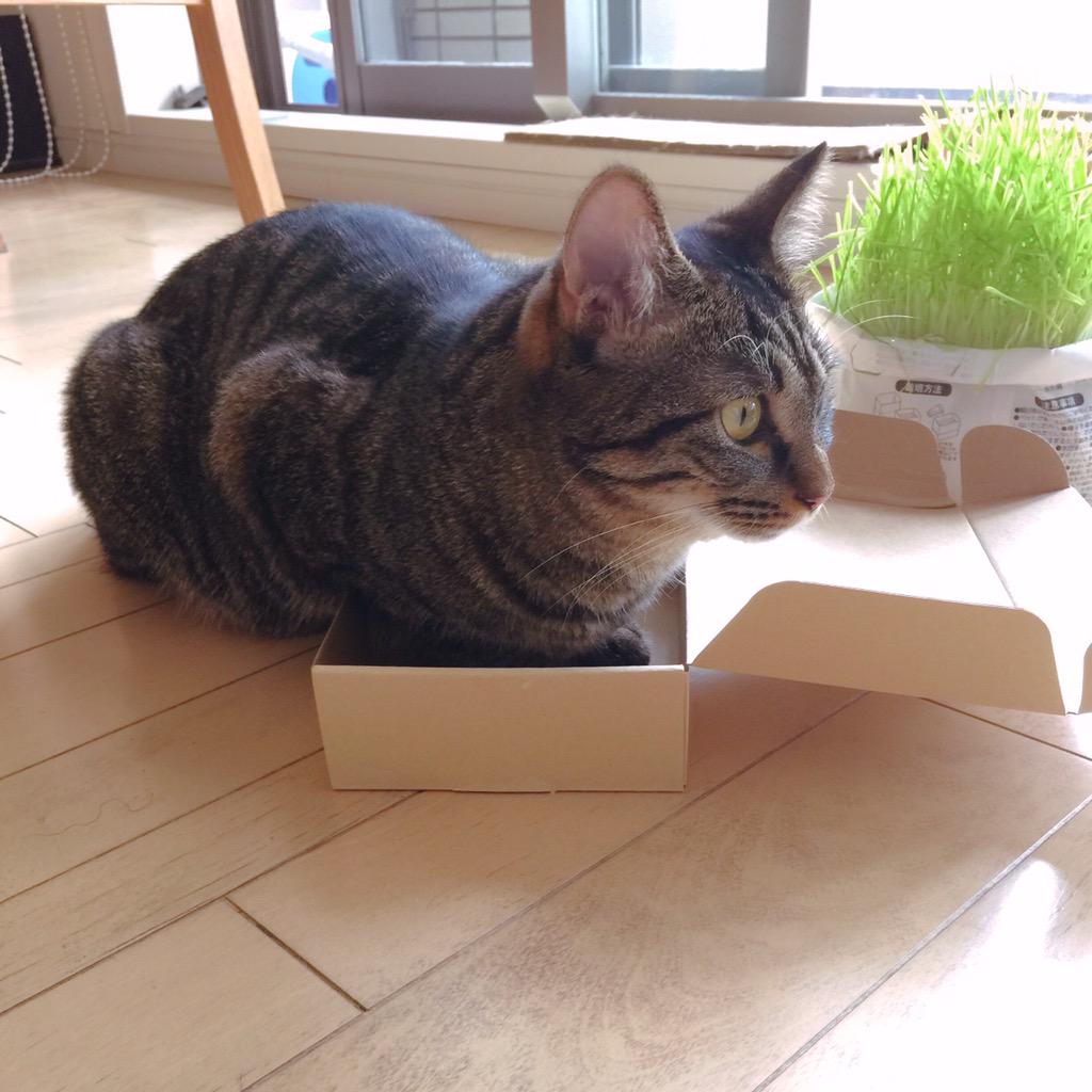 狭小物件 狭小物件