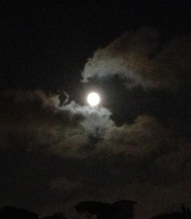 gloriagraziani3's tweet photo. #splendeva la notte proprio come splende il giorno
Si che le tenebre si fecero luce.
#imperfetti #scritturebrevi http://t.co/wqrr8SdsMv