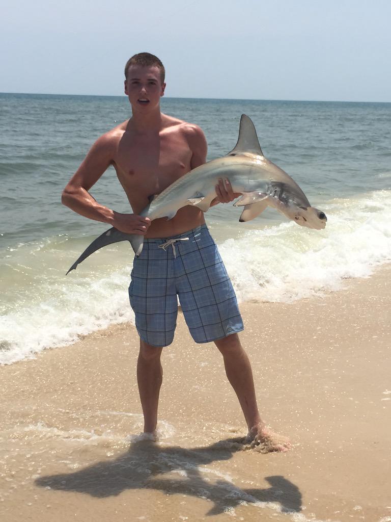 less_tim's tweet photo. Caught a Hammerhead Shark off the beach! #SGI2015 http://t.co/Ijpaf8yyrC