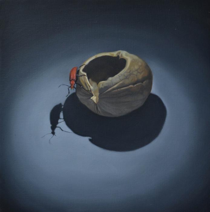 Certainly not for the squeamish! Discover new still lifes by painter Ian Goldsmith » bit.ly/1RDdoqY #bug