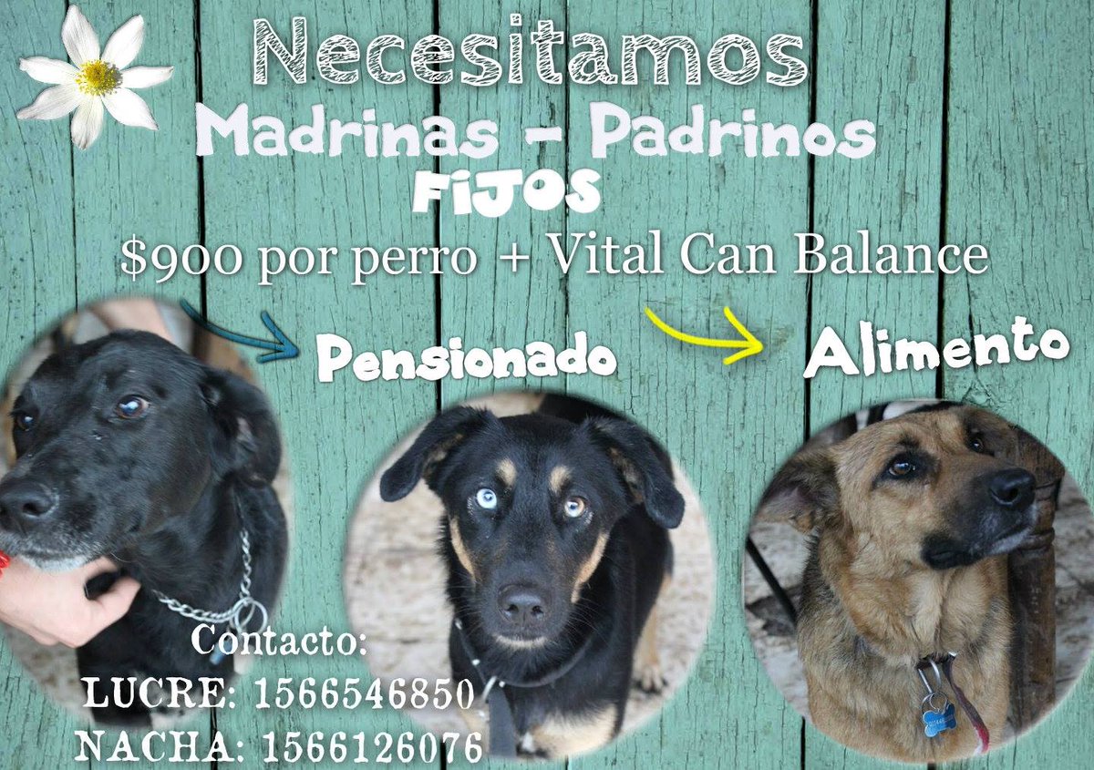 Alimento dona una persona necesitamos ayuda para el pensionado se los ruego! <a href="/candetinelli/">Candela</a> <a href="/Soyeleowexler/">eleowexler</a> <a href="/cutila3/">cutila</a>
