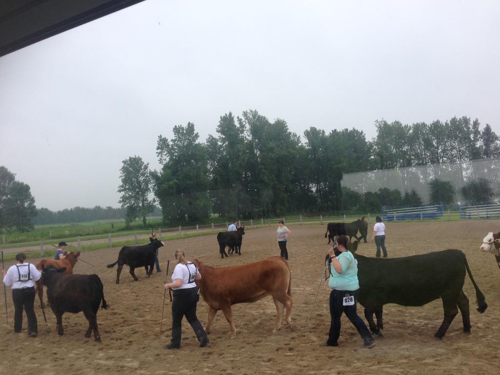 AmandaBrodhagen's tweet photo. Despite the rain, thx to all the competitors who came out to the @ListowelFair #4H Beef &amp; Open Shows. #listfair2015 http://t.co/2f8AzAsXGb