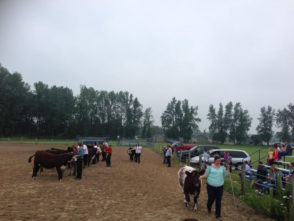 AmandaBrodhagen's tweet photo. Despite the rain, thx to all the competitors who came out to the @ListowelFair #4H Beef &amp; Open Shows. #listfair2015 http://t.co/2f8AzAsXGb