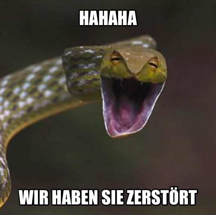 joizde's tweet image. #TeamPython #SchleFaZ #joiz