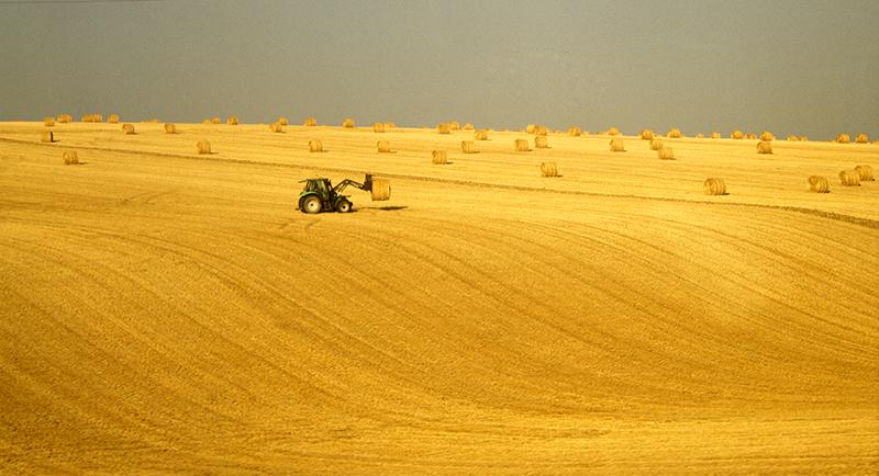 Depuis la fenêtre de mon train. martine-b.tumblr.com #SNCF #agriculture #paysage #photo