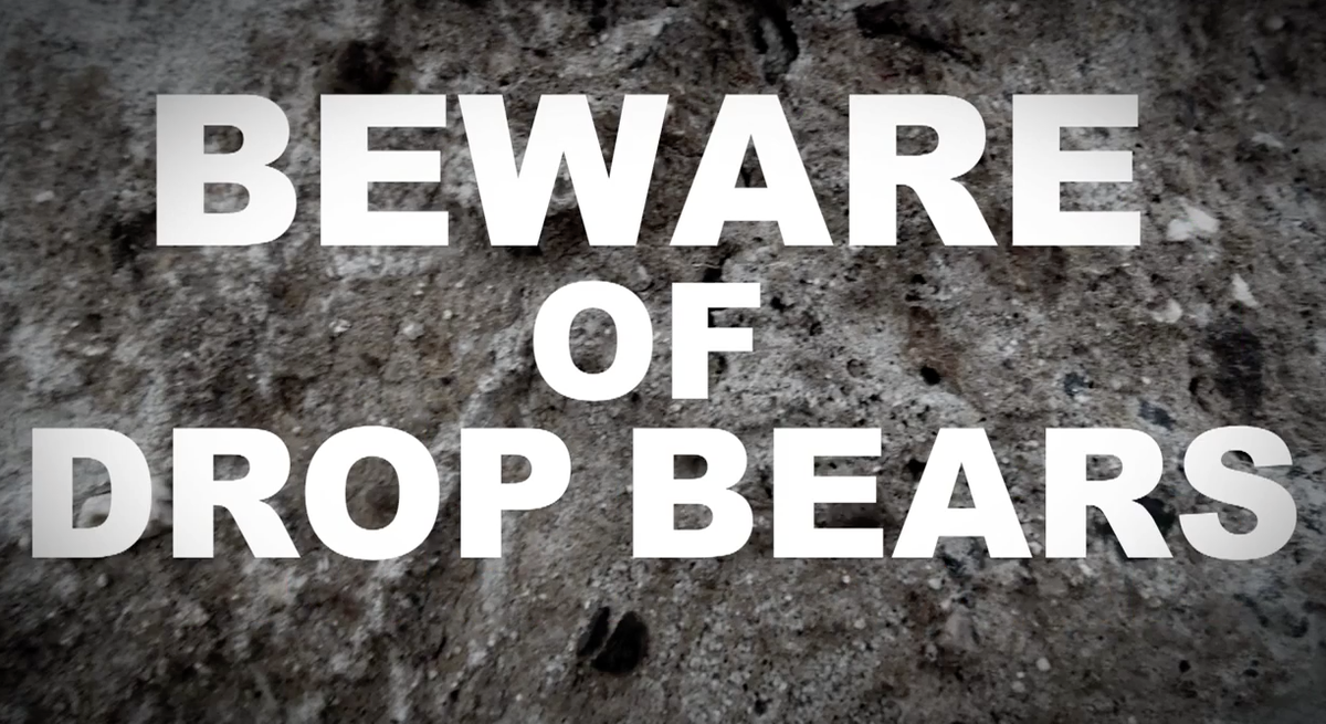 dropbeartours's tweet photo. FRIENDLY REMINDER

For any tourist entering the country with @lazerair

#DropBearsKill #DontBeAStatistic #MSUASP http://t.co/DCSAzsWGSo