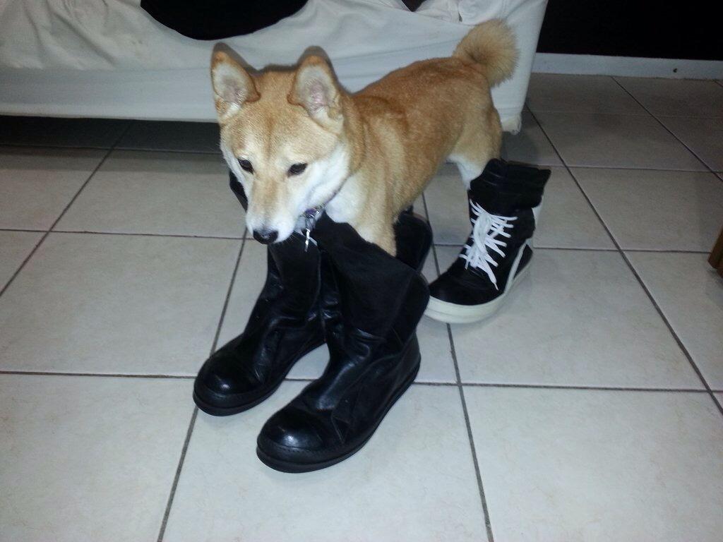 Too big. Too strong. Me too big.