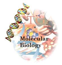 _DevProg's tweet image. I&apos;ve always wondered what Molecular Biology Grads do..quora.com/Careers-in-Mol…