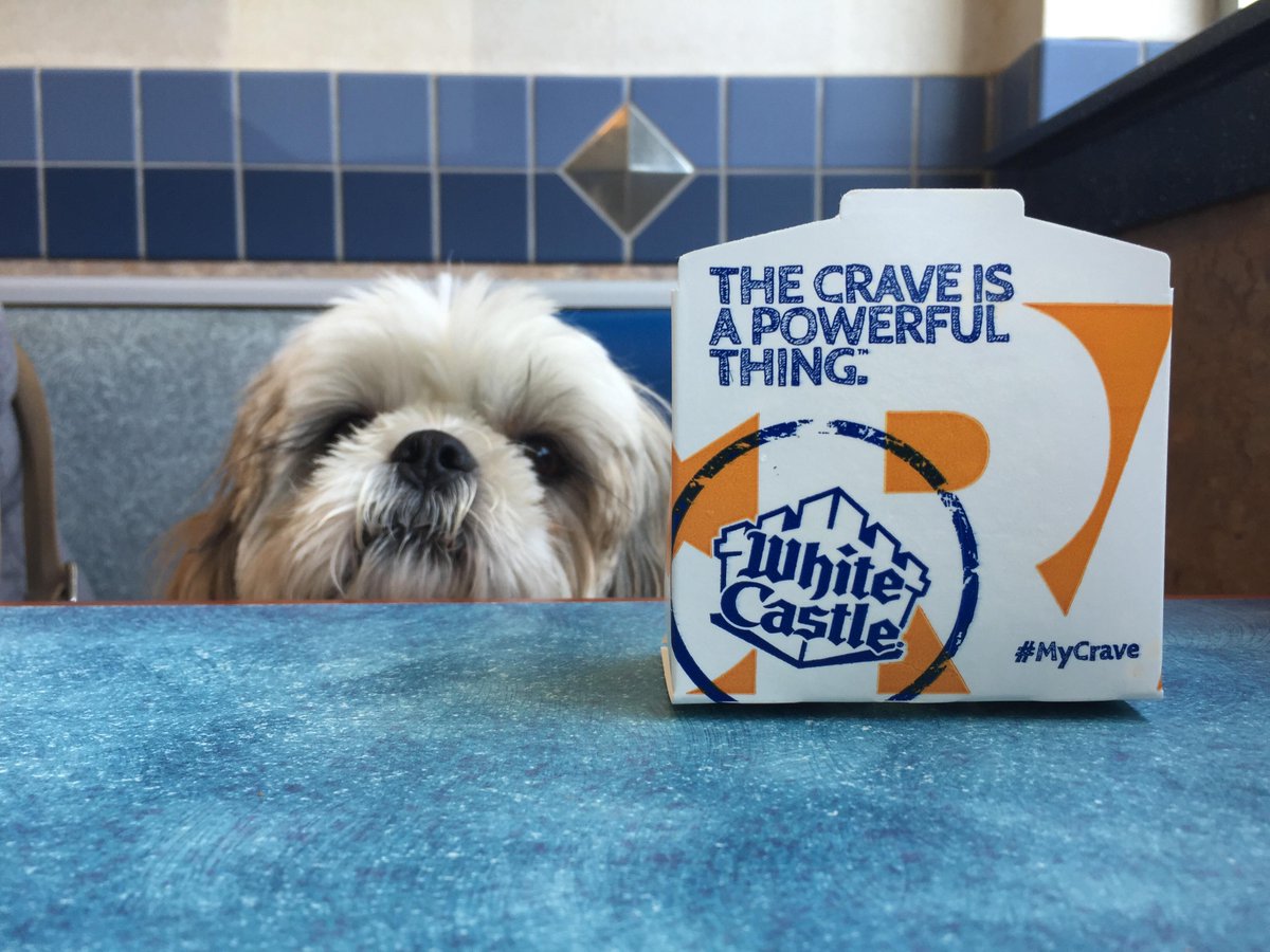 daisy55's tweet image. 