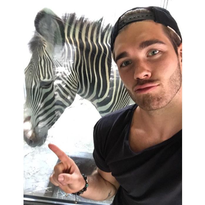 brendangdr's tweet photo. ciao piccola zebraa http://t.co/21q45oz5Yd