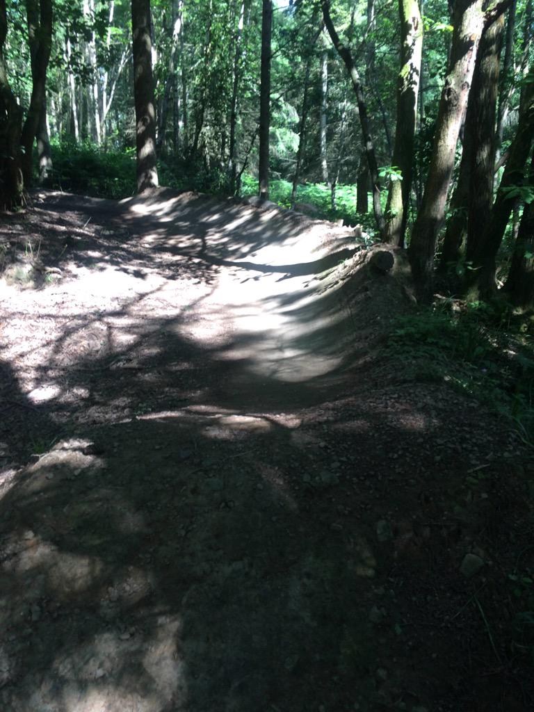 ribbesford bike park