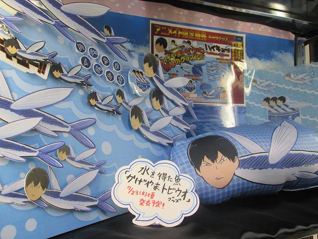 予約好評受付中！】6Fショーケースに突如現れたトビウオ…「ハイキュー