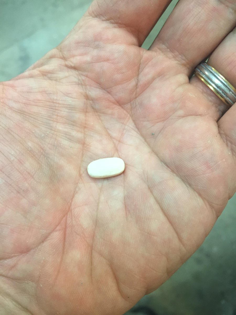 TBT, one of my odd jobs for the TV show ER. Tiny specific sculptures to be made into sugar pills for the actors.