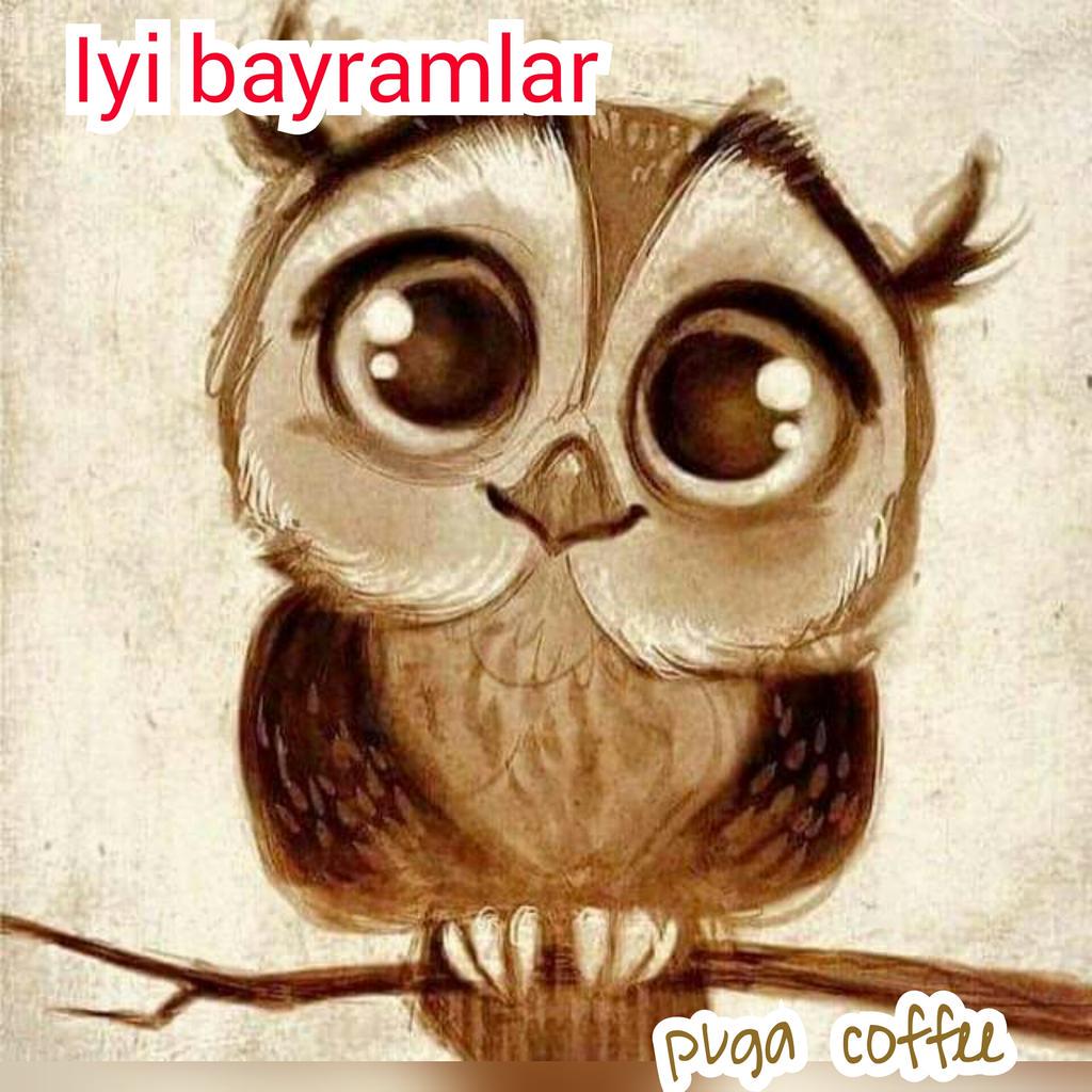 pugacoffee's tweet photo. http://t.co/DTyfxmpCis