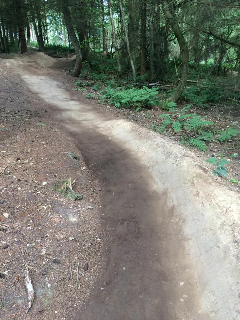 ribbesford bike park