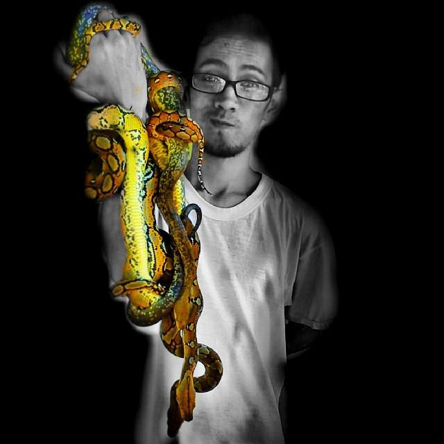 reptiles's tweet photo. #Reptiles: RT @smiledevils2: #worldsnakeday #maclotysavuensis #macloty #savuensis #liasis #liasismaclottimaclotti #… http://t.co/7biOUgRKdg