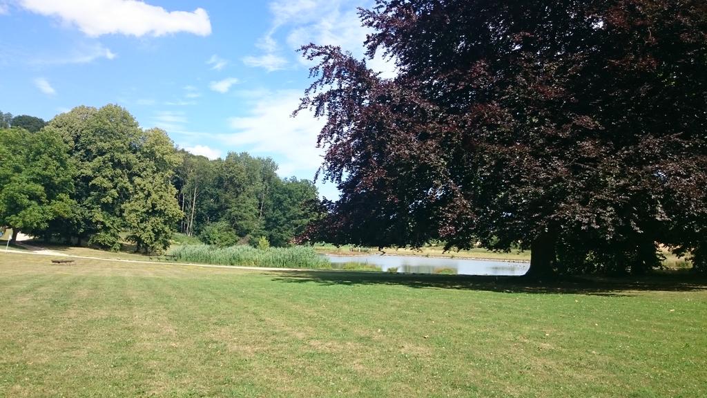 holzelse's tweet photo. Relaxing after days of hard work,tons of inspiration,fun,few sleep,new friends Thanks #campketchum au revoir l'abbaye http://t.co/LezJ0Y5OHG