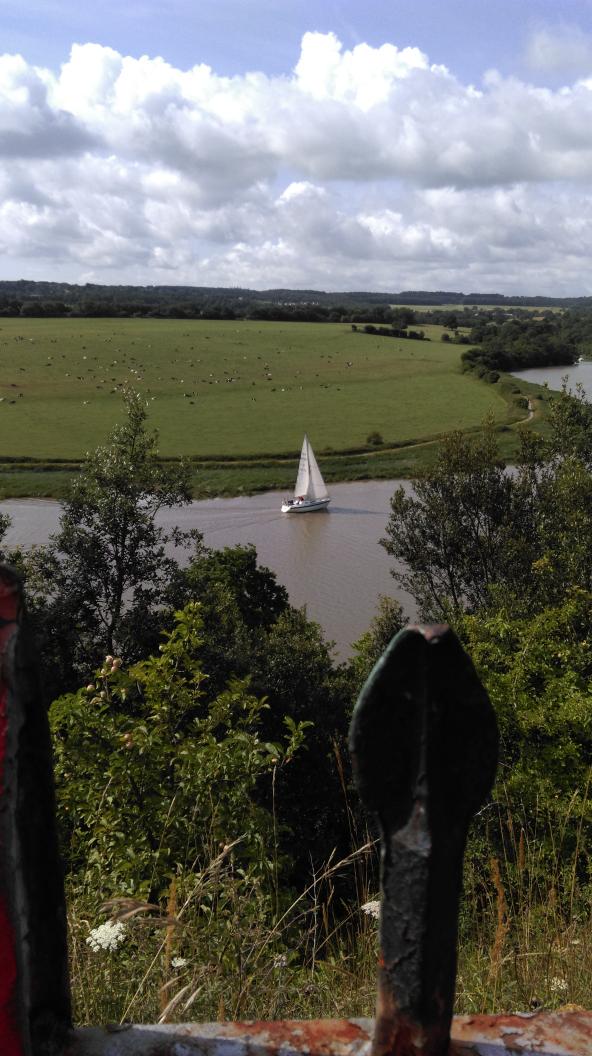 CazRichards's tweet photo. Yes this actually is in a big city and not in the countryside. @Bristol_2015 @VisitBristol #portway #lovebristol http://t.co/Dp5AafwZxi