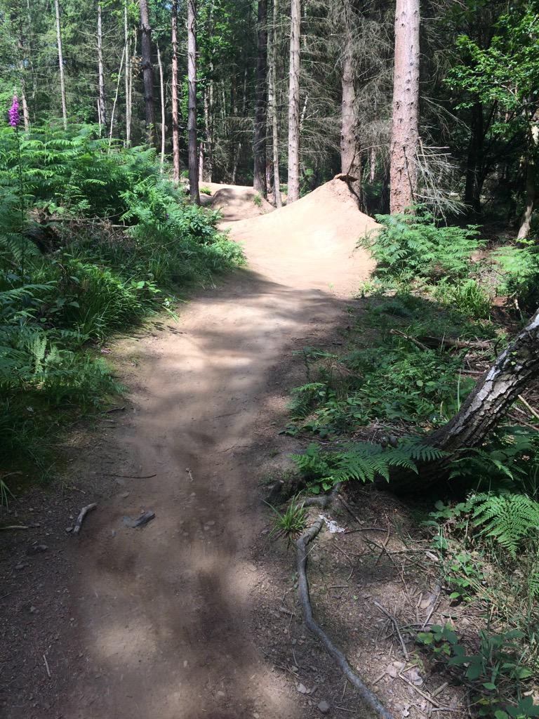 ribbesford bike park