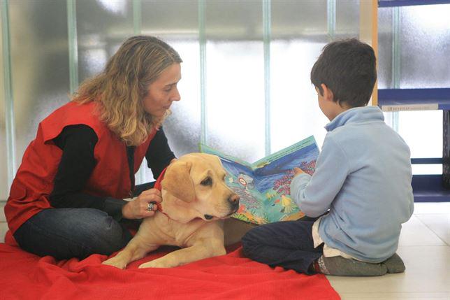 europapress's tweet photo. Terapia asistida con perros: salud a cuatro patas y vínculos afectivos que ayudan a sanar http://t.co/PD1JrnTTNu http://t.co/BLbLlgIgQ4